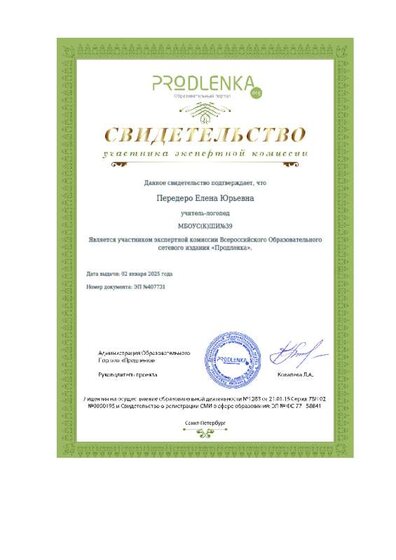 Свидетельство участника экспертной комиссии.pdf.jpeg