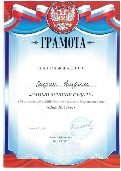 2.8.03(Самый Лучший судья) VI открытый кубок ЛДПР.jpg