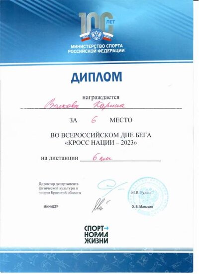Волкова_диплом.jpeg