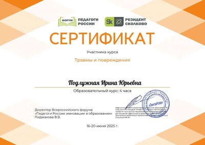 Подлужная Ирина Юрьевна_N0j.pdf.jpeg