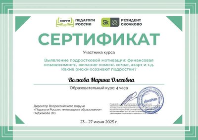 Волкова Марина Олеговна_tDu.pdf.jpeg