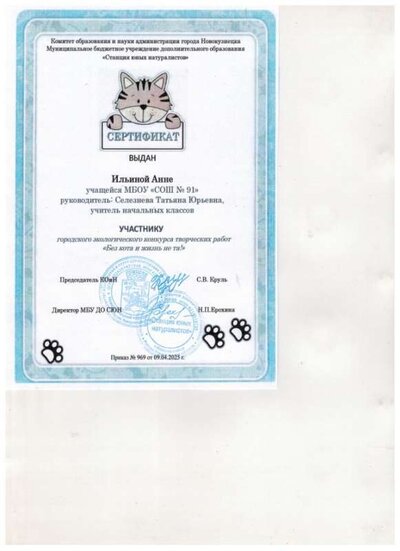 сертификат Ильина Анна.jpg