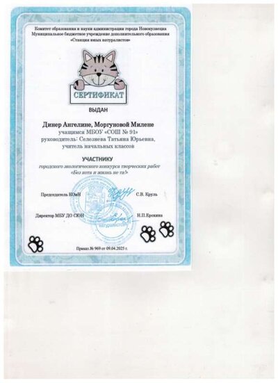 сертификат Моргунова Милена Динер Ангелина.jpg