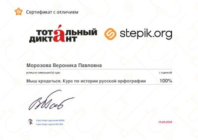 stepik-certificate-56365-efc0934.jpg