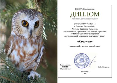 !Диплом.jpg