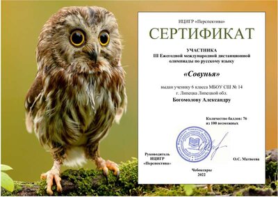 БСовунья - Сертификат.pdf.jpeg