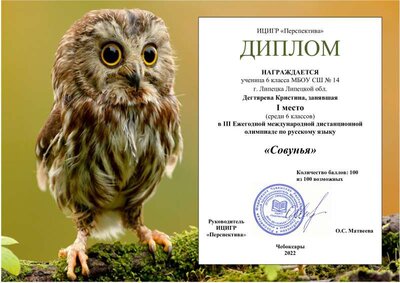 ДСовунья - Диплом.pdf.jpeg