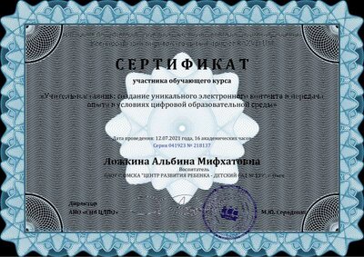 Сертификат Ложкина Альбина Мифхатовна - Серия 041923 № 218137.pdf.jpeg