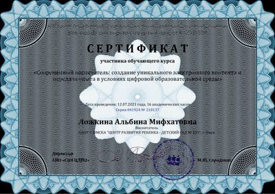 Сертификат Ложкина Альбина Мифхатовна - Серия 041924 № 218137.pdf.jpeg