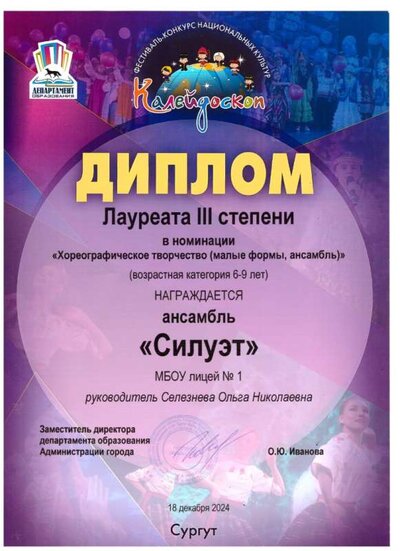Диплом 2024.jpeg