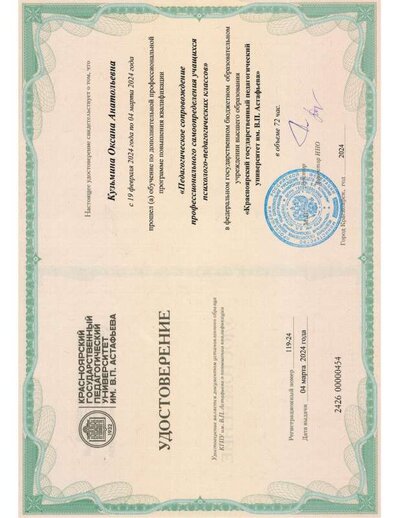 удостоверение Профессиональное самоопределение учащихся ППК.pdf.jpeg