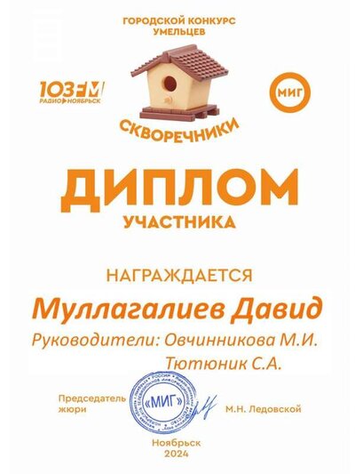 Давид скворечник.jpg