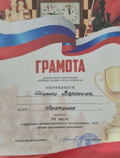 Шахматы-2024 3 место.PNG