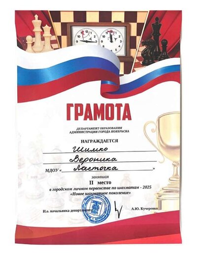 Шахматы-2025 2 место.jpg