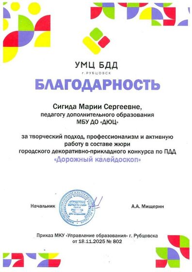 Сигида Жюри Город Дорожный калейдоскоп 18.11.25.jpg