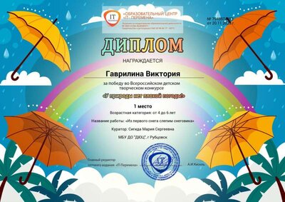 1 место, Гаврилина Виктория, У природы нет плохой погоды.jpg