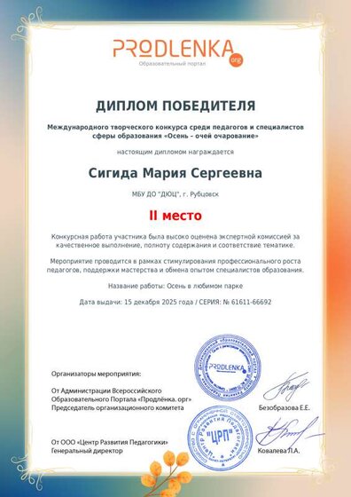Диплом 2 место.pdf.jpeg