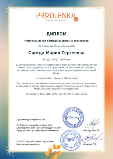 Диплом ИКТ.pdf.jpeg