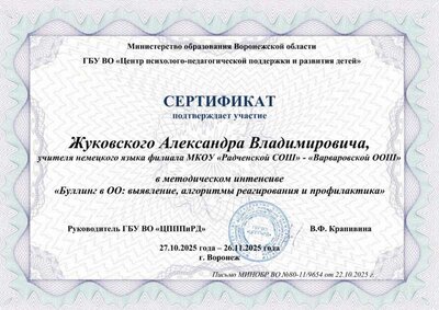 Жуковский А.В Вебинар.jpg