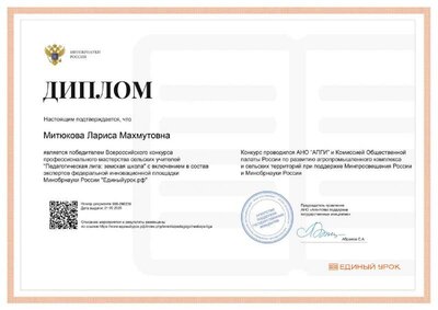 Диплом победителя Всерос.конкурса профес.мастерства.pdf.jpeg