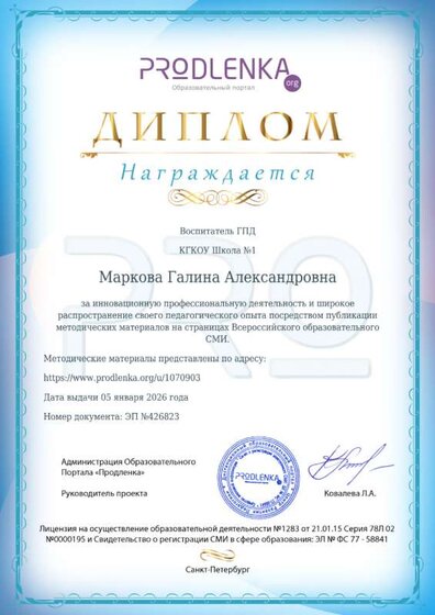 Диплом за инновационную профессиональную деятельность.png