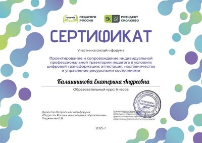 Калашникова Екатерина Андреевна_Mg4.pdf.jpeg