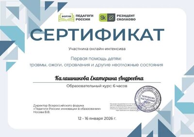 Калашникова Екатерина Андреевна_LKc.pdf.jpeg