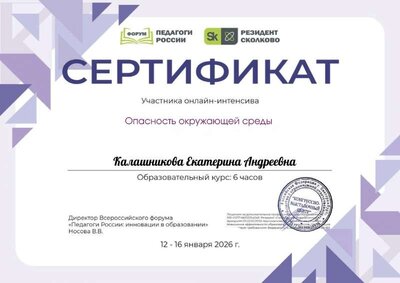 Калашникова Екатерина Андреевна_8Mh.pdf.jpeg