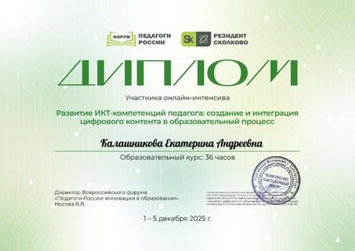 Калашникова Екатерина Андреевна_ViO (1).pdf.jpeg