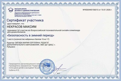 1 место Некрасов Максим Безопасность в зимний период.jpg