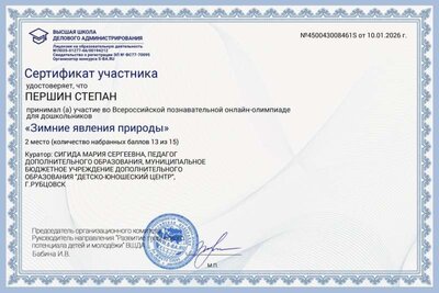 2 место Першин Степан олимпиада Зимние явления природы.jpg