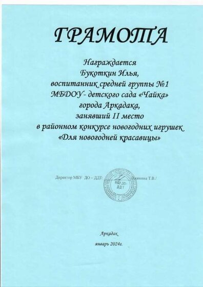 букоткин 2 место районный.jpg