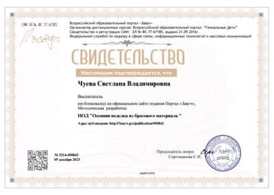 свидетельство за опубликованный материал.jpg