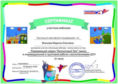 сертификат участника вебинара_4ФЛ мини_Волкова Марина Олеговна.pdf.jpeg