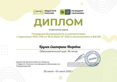 Кручек Екатерина Игоревна_D2X.pdf.jpeg