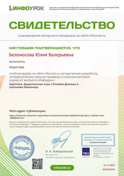 Свидетельство проекта infourok.ru №ЗБ56460364.jpg