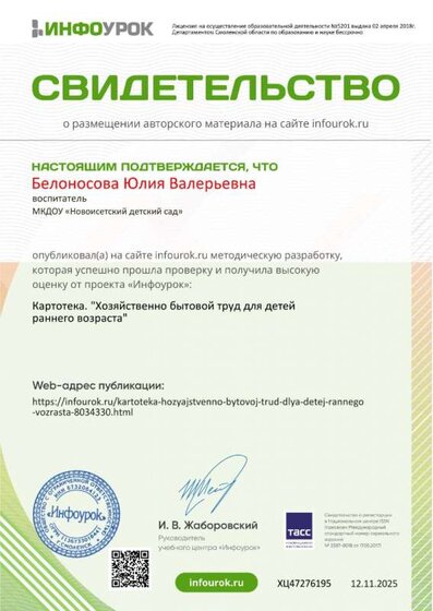 Свидетельство проекта infourok.ru №ХЦ47276195.jpg