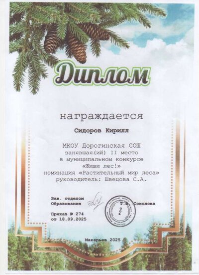 Скан_20260210 (2).pdf.jpeg