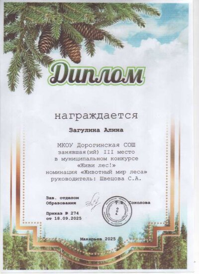Скан_20260210 (5).pdf.jpeg