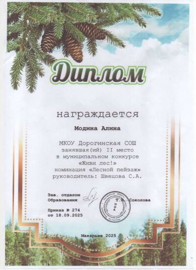 Скан_20260210 (3).pdf.jpeg