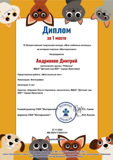 Andrianov_Dmitriy.pdf.jpeg