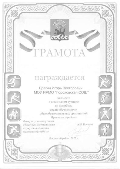 2022 Флорбол_Брагин.pdf.jpeg