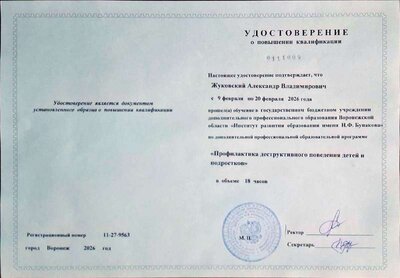 Курсы Деструктивное поведение.pdf.jpeg
