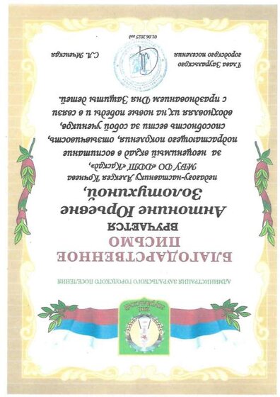 Благодарственное письмо.jpg
