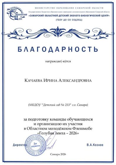 Качаева Ирина Александ… МБДОУ Детский сад № 2… … _page-0001.jpg