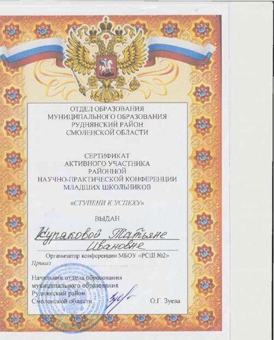 сертификат участника районной научно-практической конференции .pdf.jpeg
