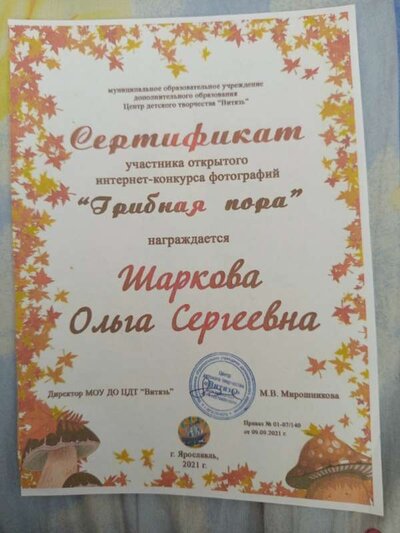 дост.2.jpg