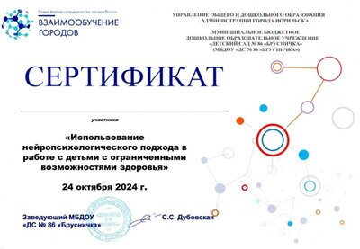 Сертификат  ВГ 2024.jpg
