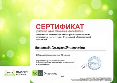 Камышева Валерия Дмитриевна_I49.pdf.jpeg