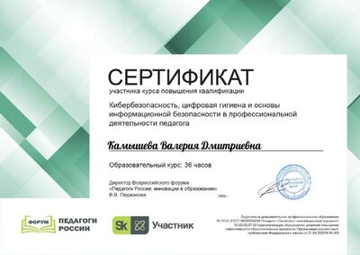 Камышева Валерия Дмитриевна_N2k.pdf.jpeg